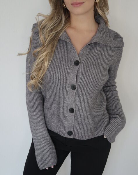 Grey vest