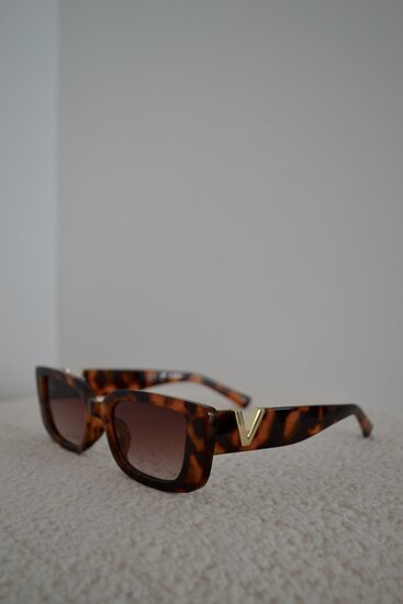 Classic sunglasses V - Brown with case