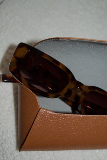 Classic sunglasses V - Brown with case