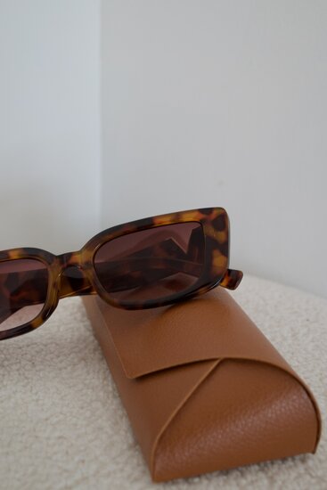 Classic sunglasses V - Brown with case