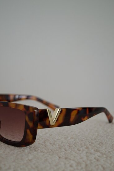 Classic sunglasses V - Brown with case