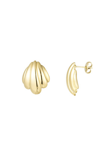 Shell earrings